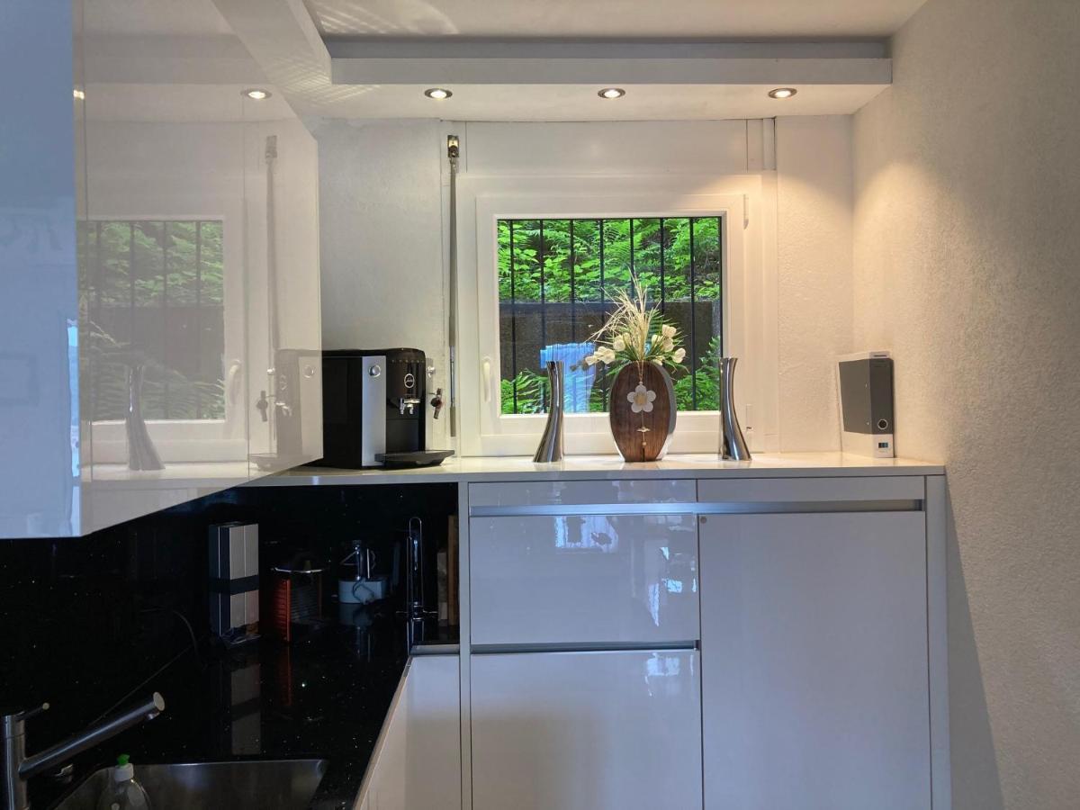 Appartement Novotna Ponte Tresa Bagian luar foto
